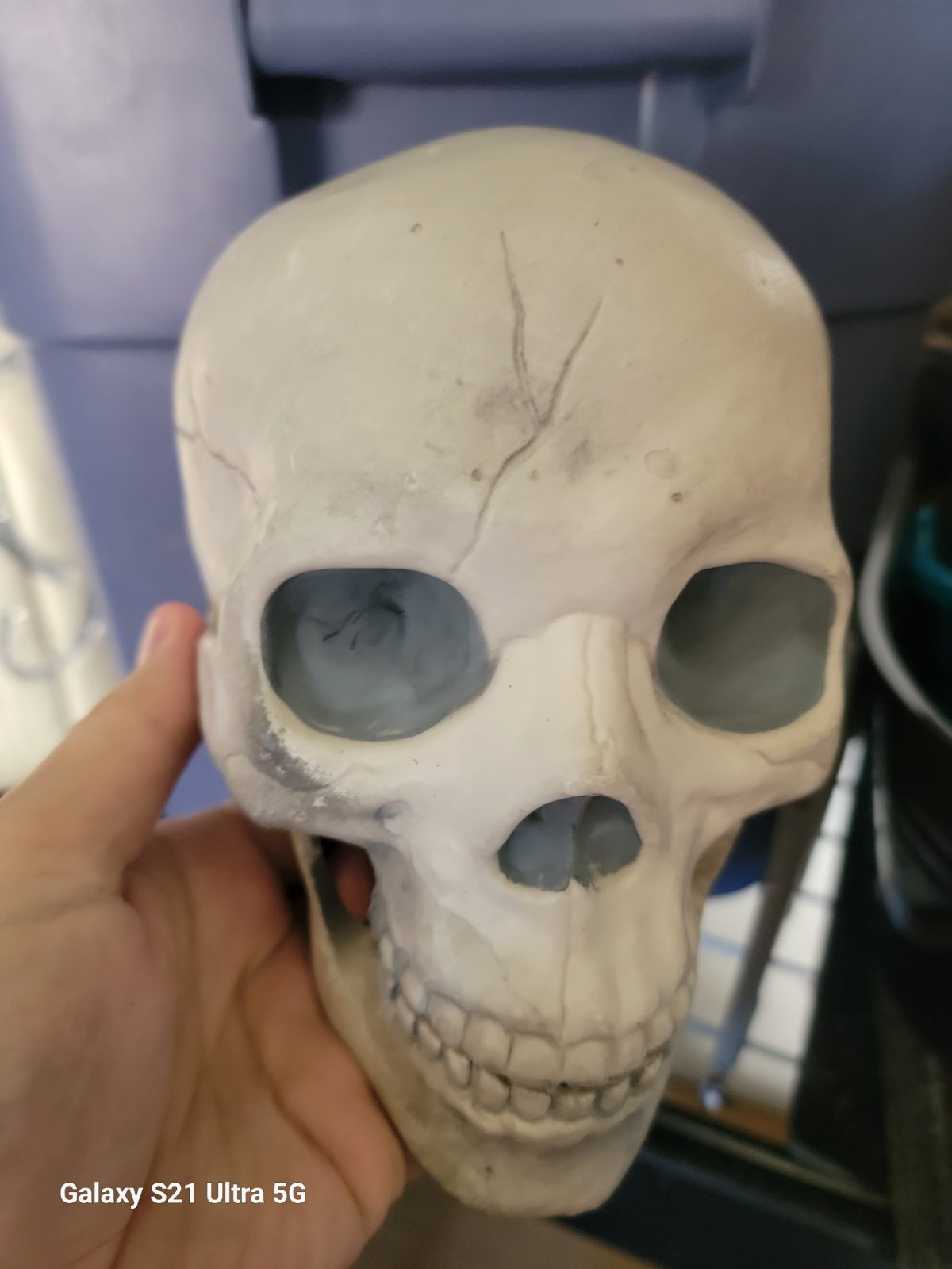 A classic skull ready for some spooky fun.